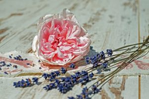 fragancias ambientales clínica fragancias ambientales clínica